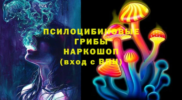 ПСИЛОЦИБИНОВЫЕ ГРИБЫ Бугульма