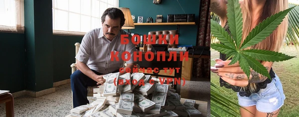 стафф Бронницы
