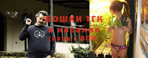 трава Бородино