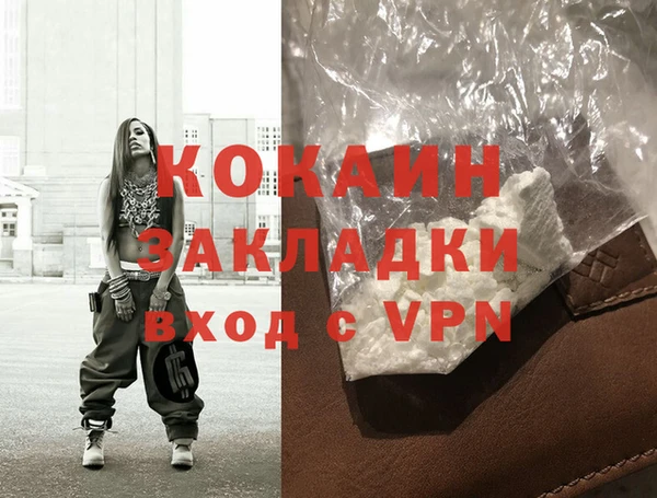 трава Бородино